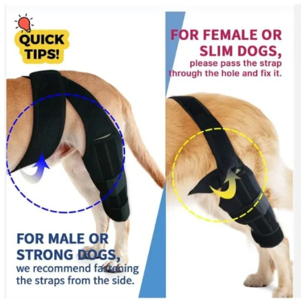 PAWFUN Dog Knee Brace for Torn ACL Adjustable Leg Support for Hip Dysplasia